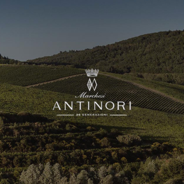 Marchesi Antinori, 26 generazioni di viticoltori